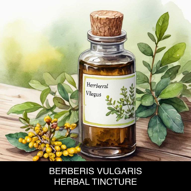 berberis vulgaris herbal tinctures for irritable-bowel-syndrome