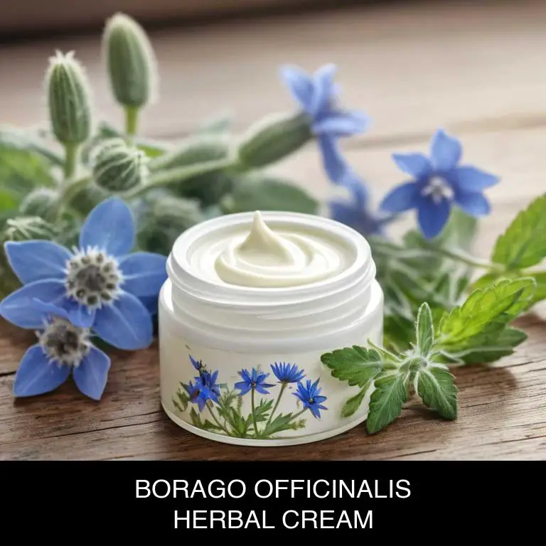 borago officinalis herbal creams for allergies