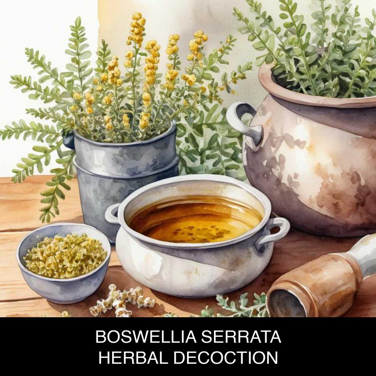 boswellia serrata herbal decoctions for allergies