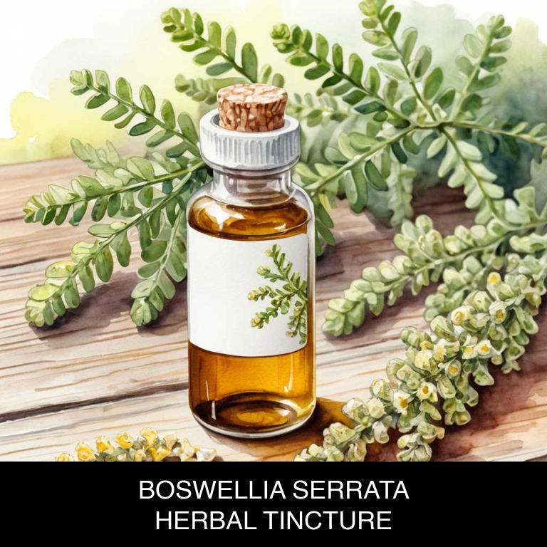 boswellia serrata herbal tinctures for appetite-loss