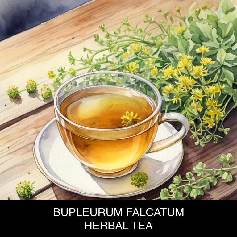 bupleurum falcatum herbal teas for hypothyroidism