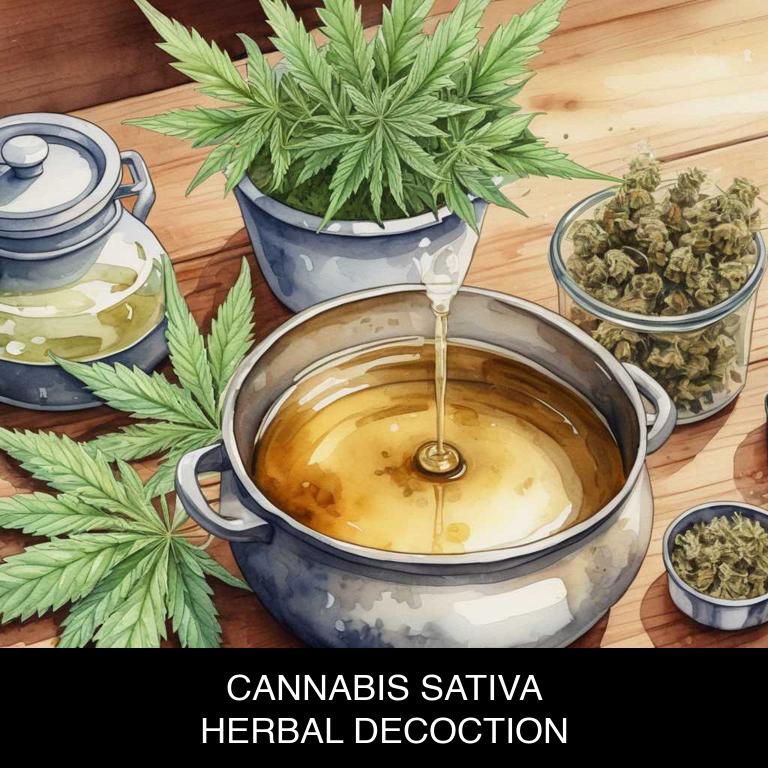 cannabis sativa herbal decoctions for neuritis