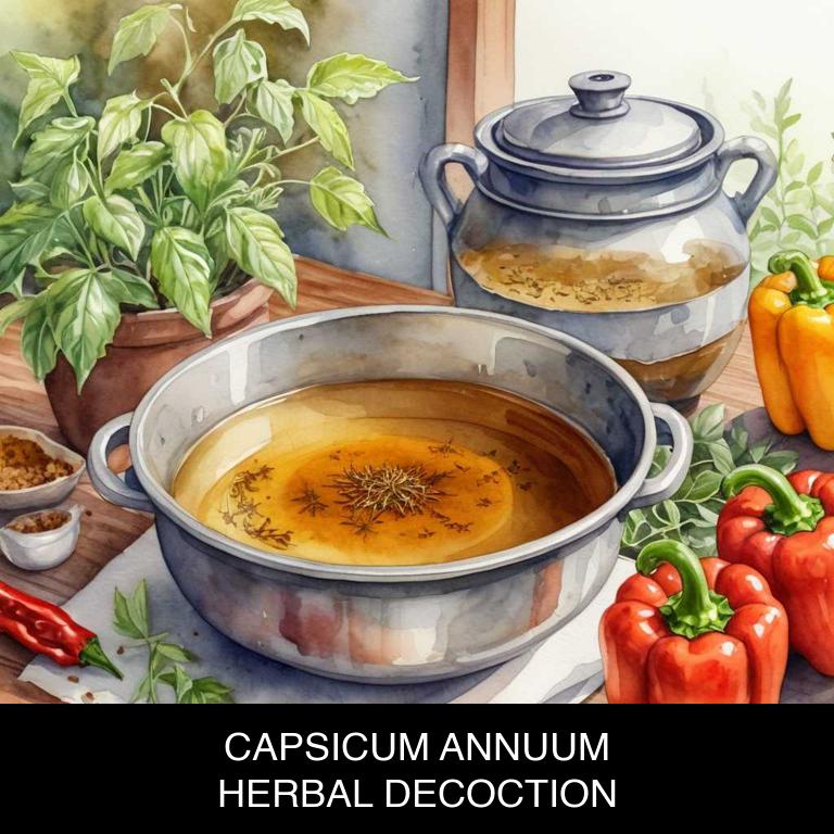 capsicum annuum herbal decoctions for jock-itch