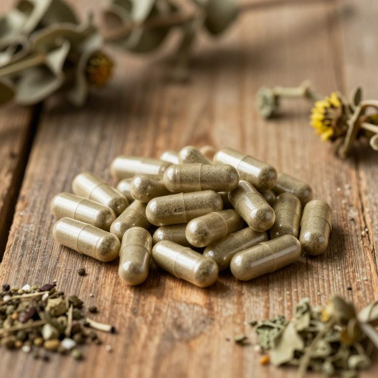 symphytum officinale capsule