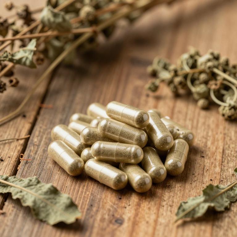 vitex negundo capsule