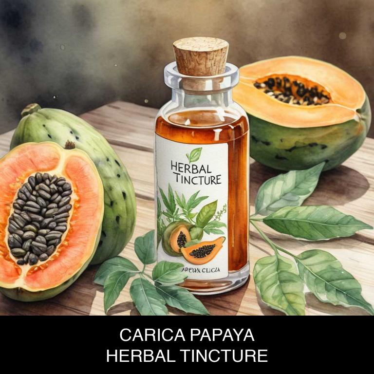 carica papaya herbal tinctures for nausea