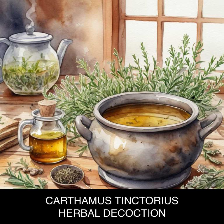 carthamus tinctorius herbal decoctions for ulcerative-colitis