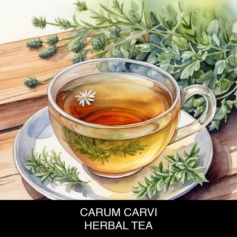 carum carvi herbal teas for flatulence