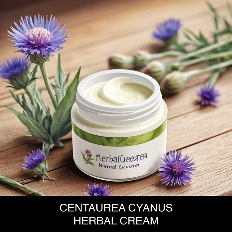 centaurea cyanus herbal creams for stomach-cramps