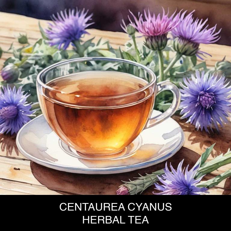 centaurea cyanus herbal teas for breastfeeding-nipple-pain