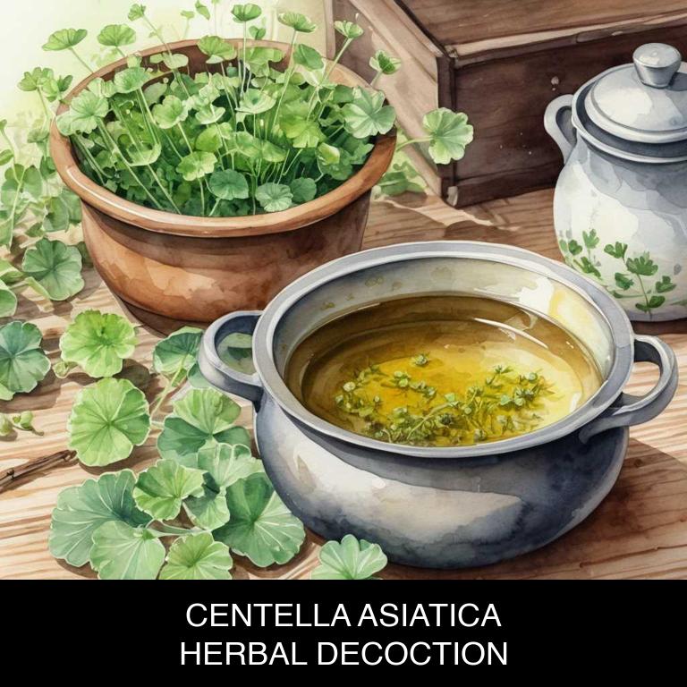 centella asiatica herbal decoctions for alzheimer-disease