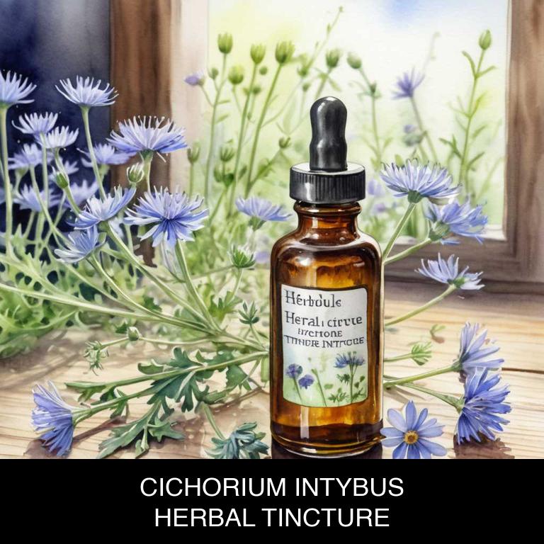 cichorium intybus herbal tinctures for anxiety