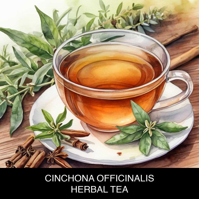 cinchona officinalis herbal teas for endometriosis-pain