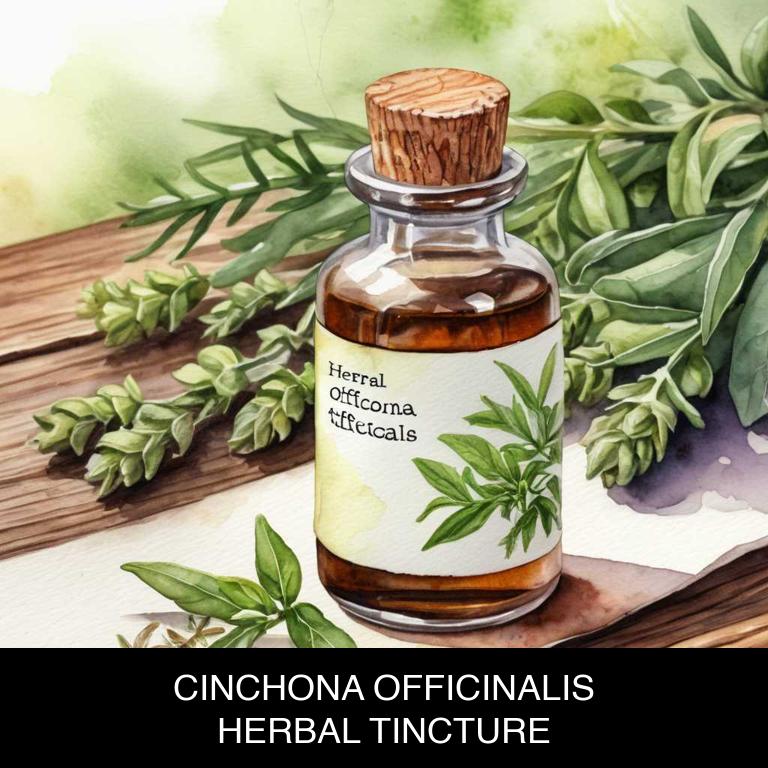 cinchona officinalis herbal tinctures for asthma