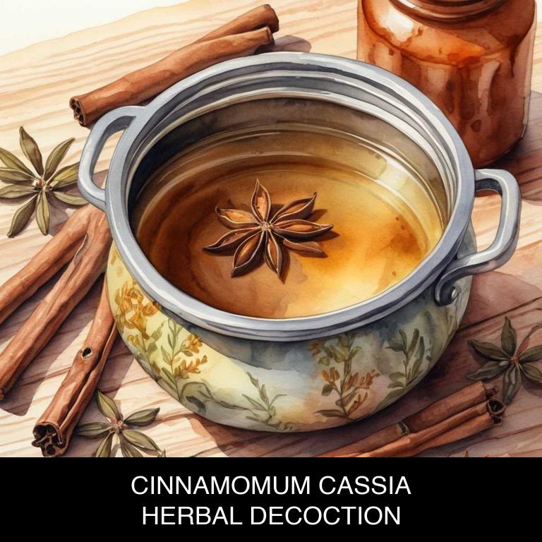 cinnamomum cassia herbal decoctions for stomach-cramps