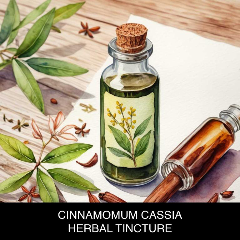 cinnamomum cassia herbal tinctures for stomach-cramps