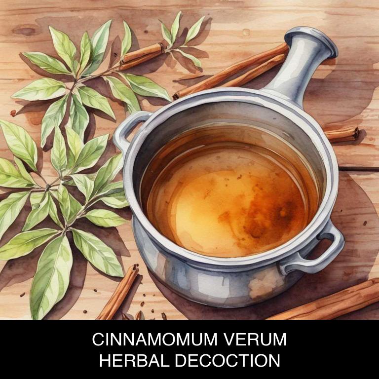 cinnamomum verum herbal decoctions for taste-changes