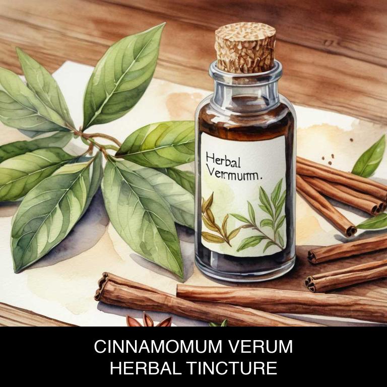 cinnamomum verum herbal tinctures for hypertension