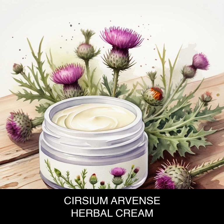 cirsium arvense herbal creams for restless-leg-syndrome