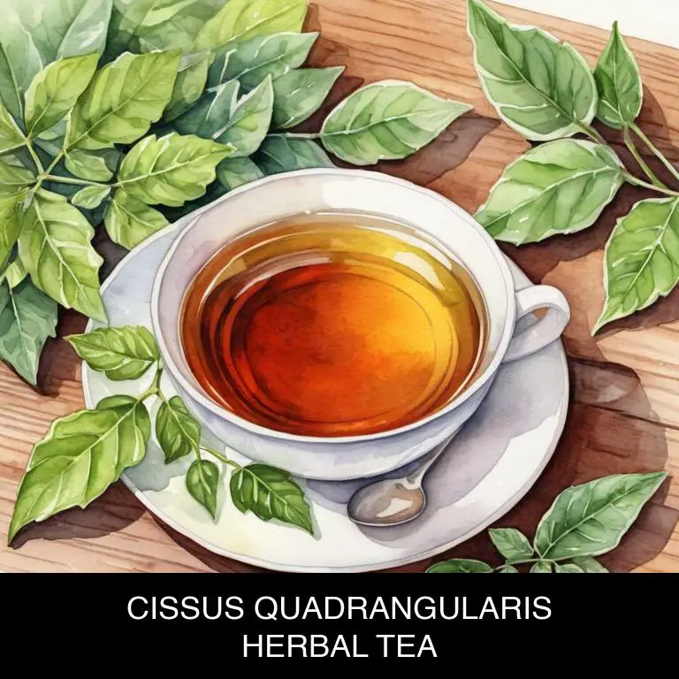 cissus quadrangularis herbal teas for bunion