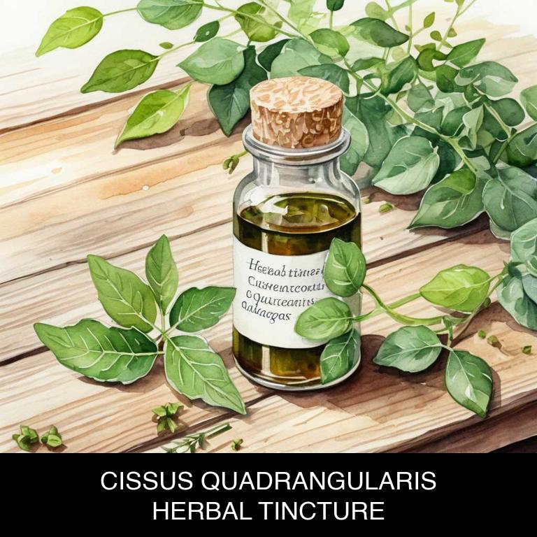 cissus quadrangularis herbal tinctures for periodontal-disease