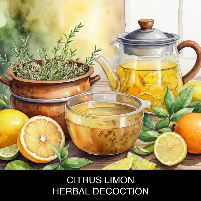 citrus limon herbal decoctions for acne