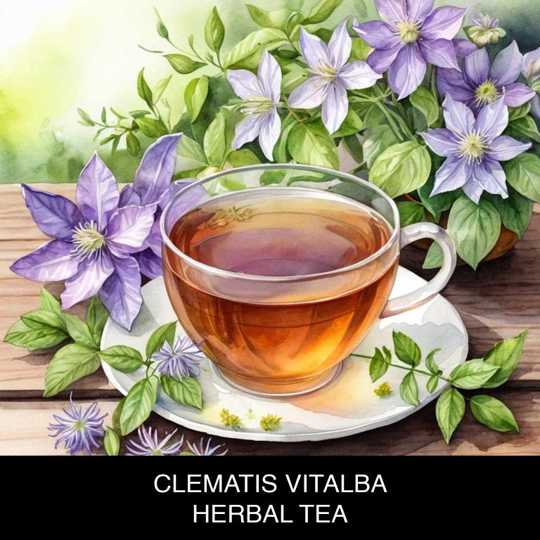 clematis vitalba herbal teas for hypothyroidism