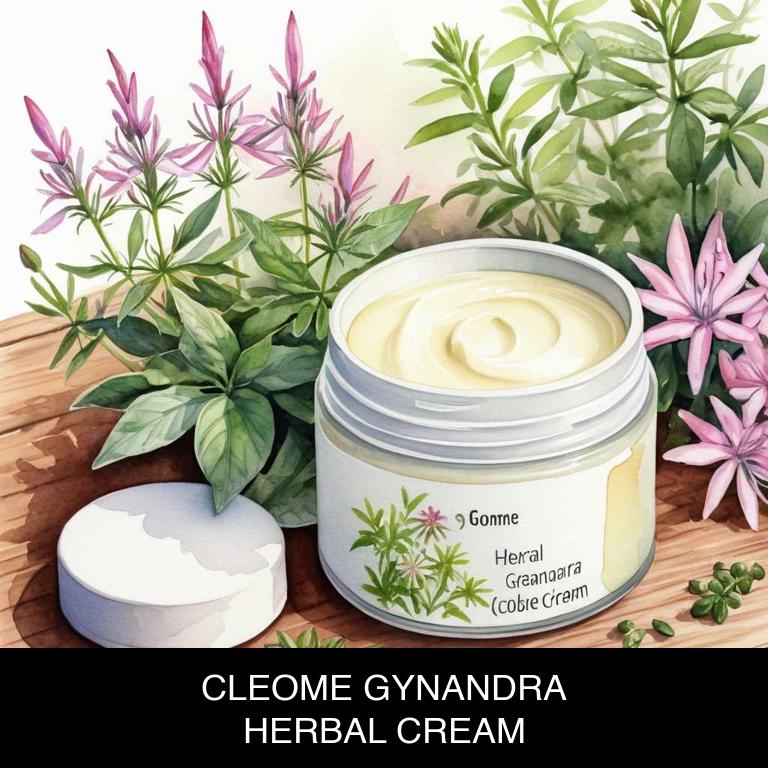 cleome gynandra herbal creams for ovulation-pain