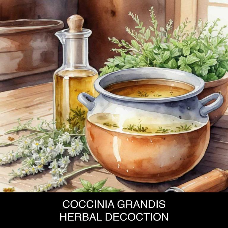 coccinia grandis herbal decoctions for hyperthyroidism