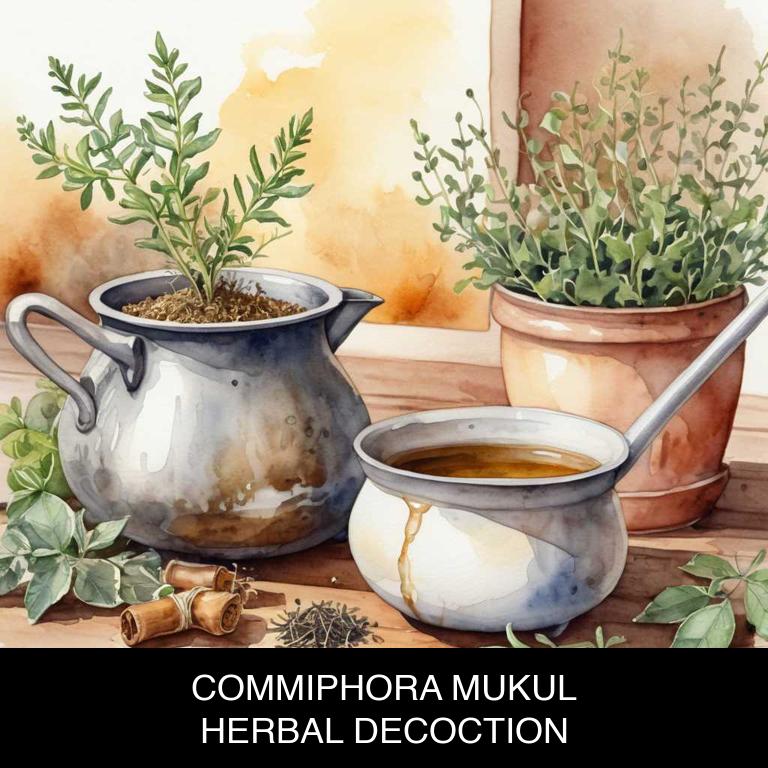 commiphora mukul herbal decoctions for arteriosclerosis