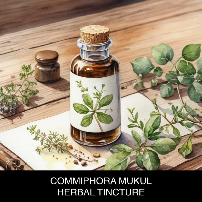 commiphora mukul herbal tinctures for arteriosclerosis