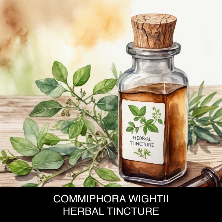 commiphora wightii herbal tinctures for hypothyroidism