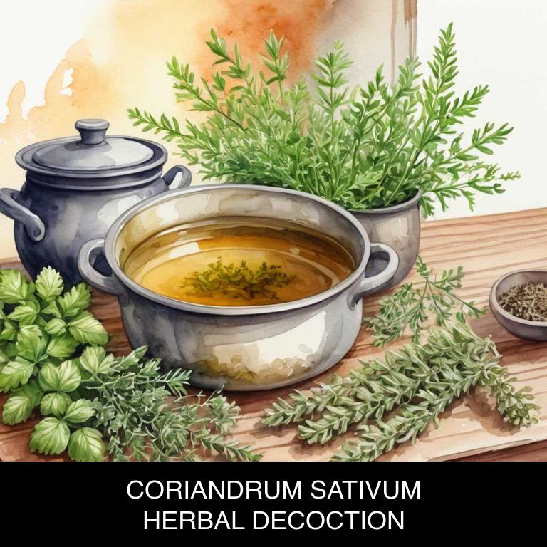 coriandrum sativum herbal decoctions for abdominal-pain