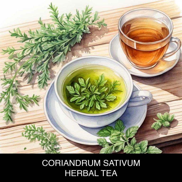 coriandrum sativum herbal teas for bloating