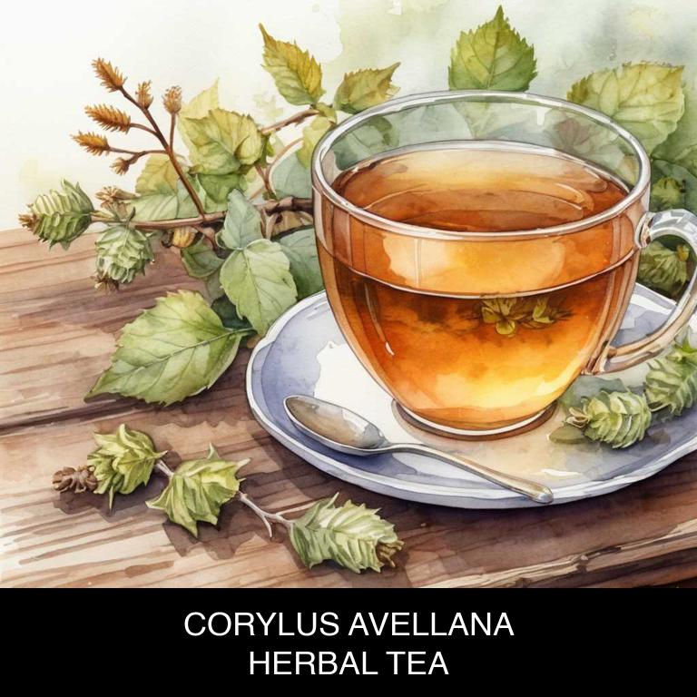 corylus avellana herbal teas for premenstrual-syndrome