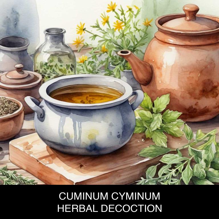 cuminum cyminum herbal decoctions for uterine-fibroids