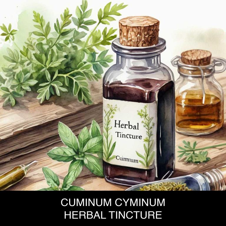 cuminum cyminum herbal tinctures for mouth-sour-taste