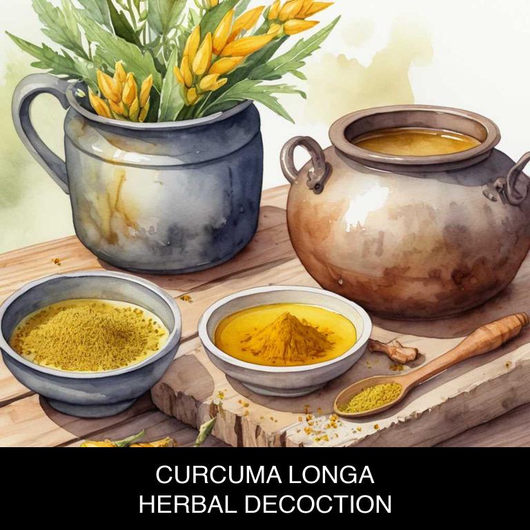 curcuma longa herbal decoctions for lost-voice