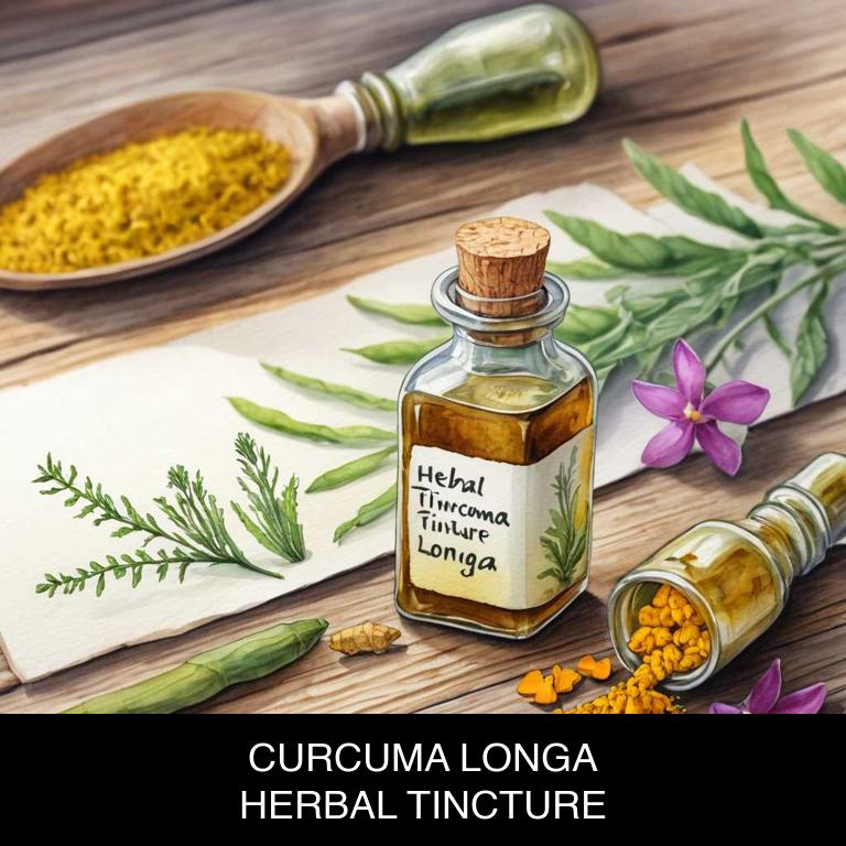 curcuma longa herbal tinctures for hair-fall