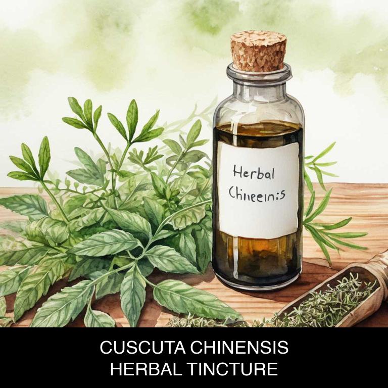 cuscuta chinensis herbal tinctures for premature-ejaculation