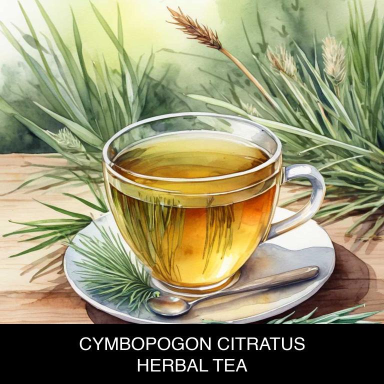 cymbopogon citratus herbal teas for sore-throat