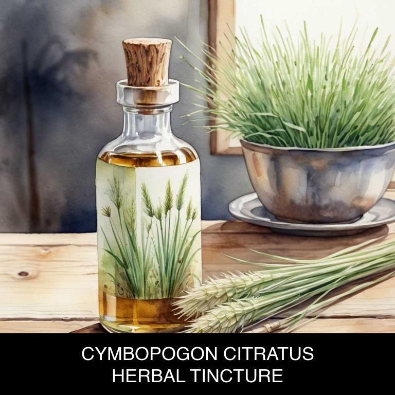 cymbopogon citratus herbal tinctures for jock-itch