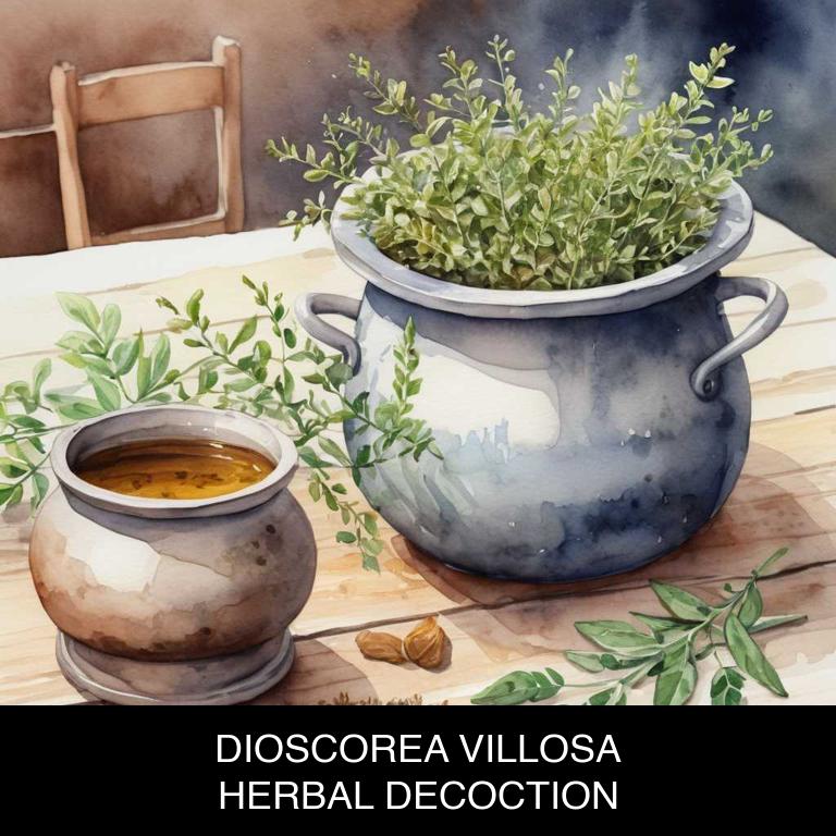 dioscorea villosa herbal decoctions for hormonal-imbalance