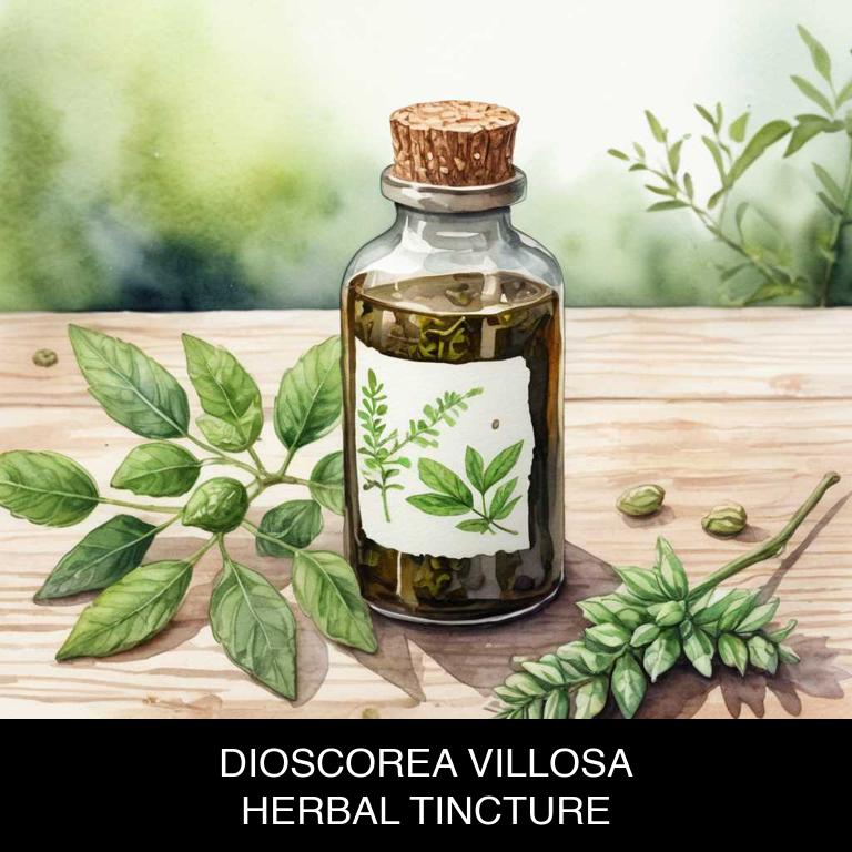 dioscorea villosa herbal tinctures for menopause