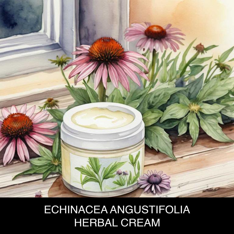 echinacea angustifolia herbal creams for periodontal-disease