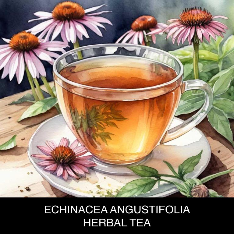 echinacea angustifolia herbal teas for strep-throat