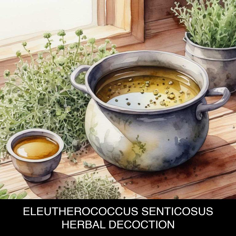 eleutherococcus senticosus herbal decoctions for speech-difficulty