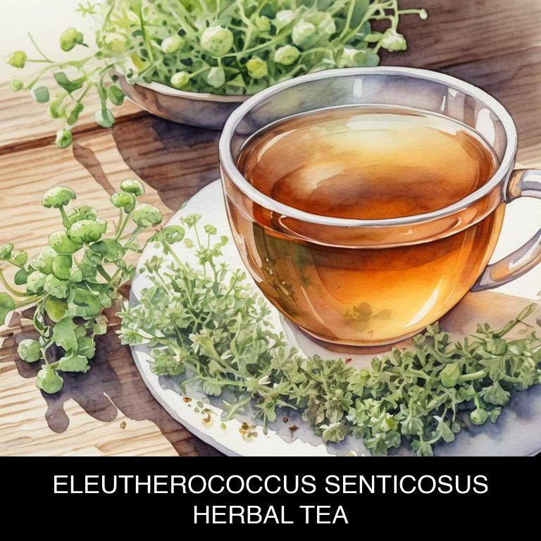 eleutherococcus senticosus herbal teas for adrenal-fatigue