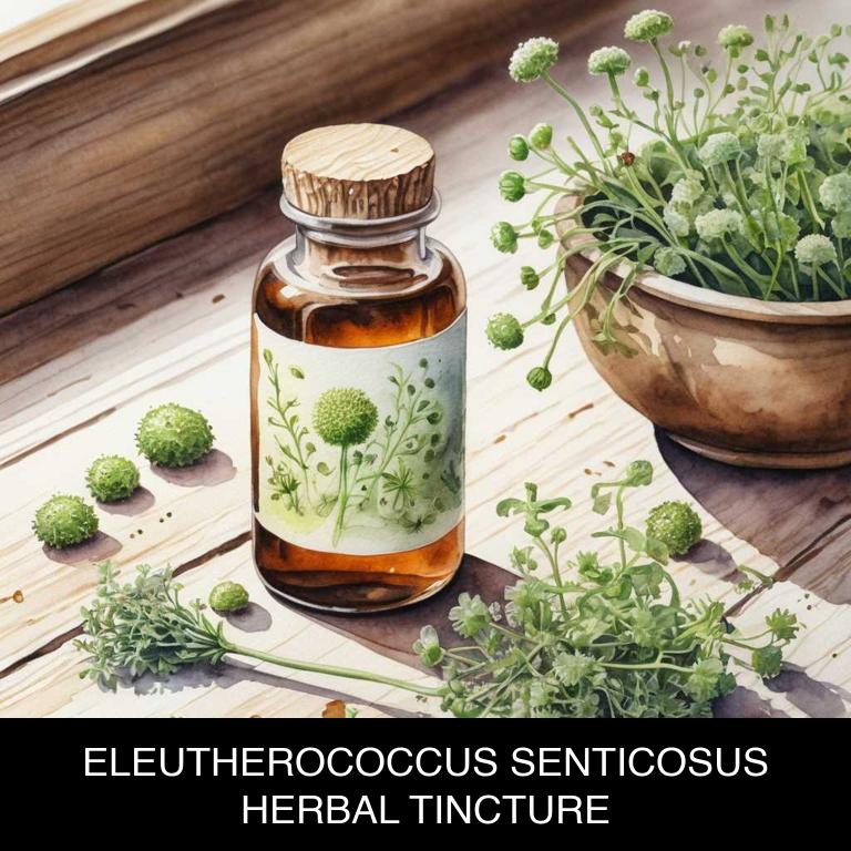 eleutherococcus senticosus herbal tinctures for adrenal-fatigue