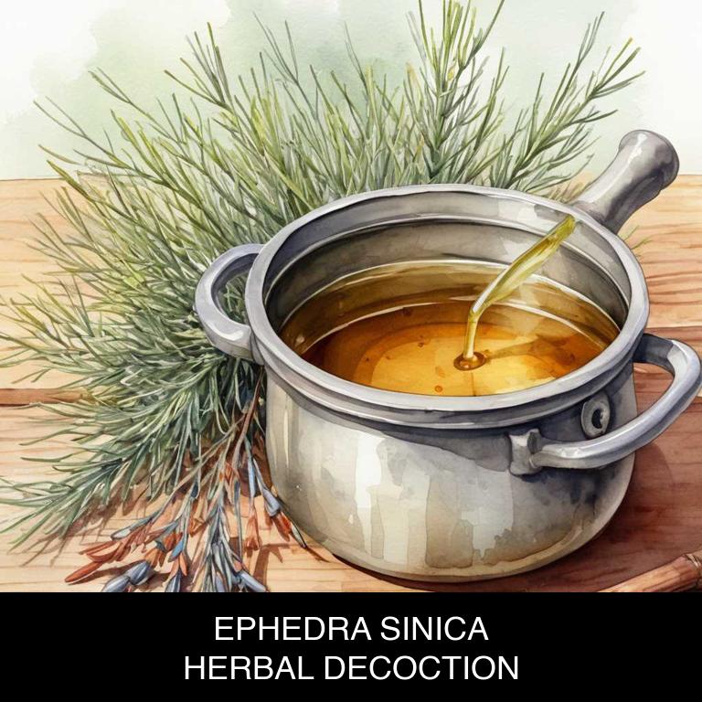 ephedra sinica herbal decoctions for asthma